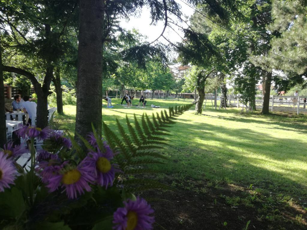 Guest House Ongal Krushuna Luaran gambar